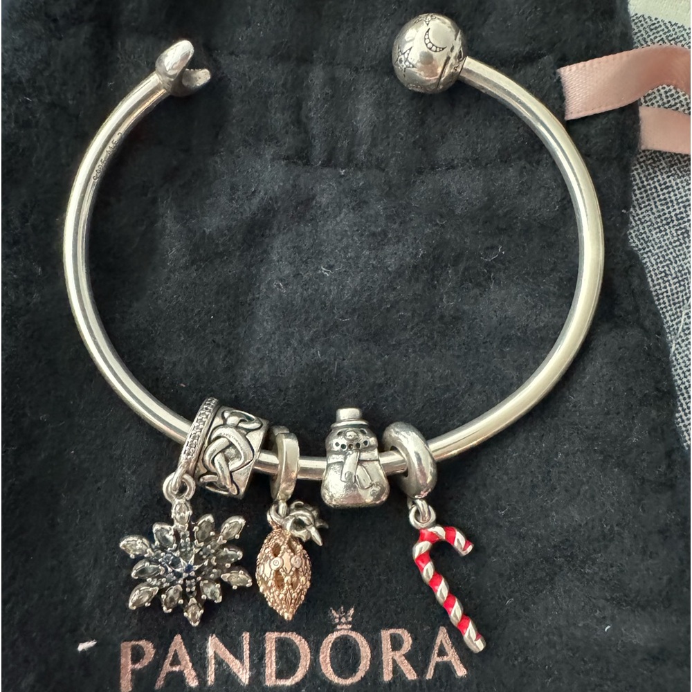 Pandora Charm bracelet